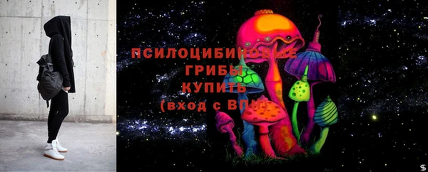 хмурый Алзамай