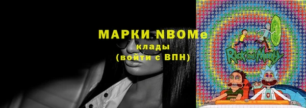 хмурый Алзамай