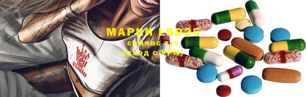 хмурый Алзамай