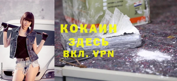 хмурый Алзамай