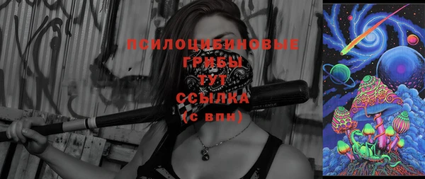 хмурый Алзамай