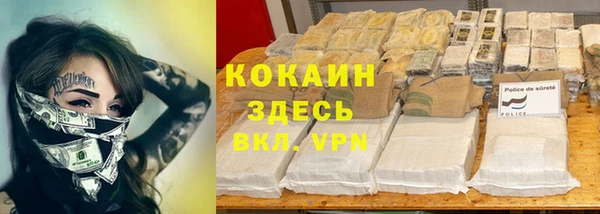 индика Красноперекопск